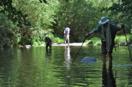 Frank nears the bank, David prepares to cross, and Stella cries out in pain from the rocks on the riverbed.