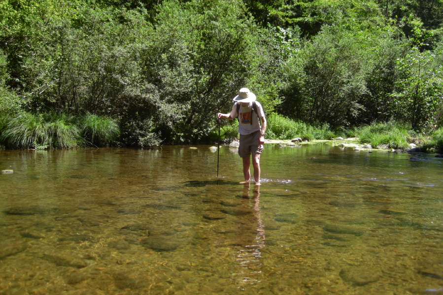 Bill crosses using one stick.