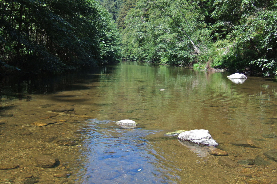 View up-river from the eastern crossing of the Buckeye Trail.