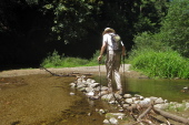 Bill crosses the first branch of the San Lorenzo River on the Buckeye Trail