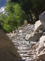 David climbing the granite stairs near Wapama Falls (3940ft)