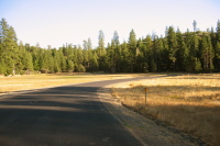 Jones Meadow on Cherry Rd. (3817ft)