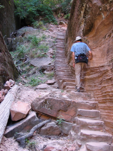 Bill climbing up the steps on the Hidden Canyon Trail.