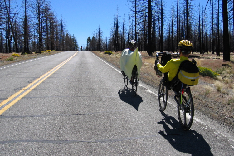 Ron & Zach climb CA120 through a burned forest toward Sagehen Summit.  (7050ft)