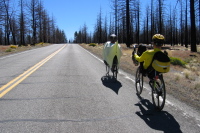 Ron & Zach climb CA120 through a burned forest toward Sagehen Summit.  (7050ft)