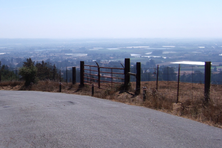 Halfway up Mt. Madonna Rd. (west).