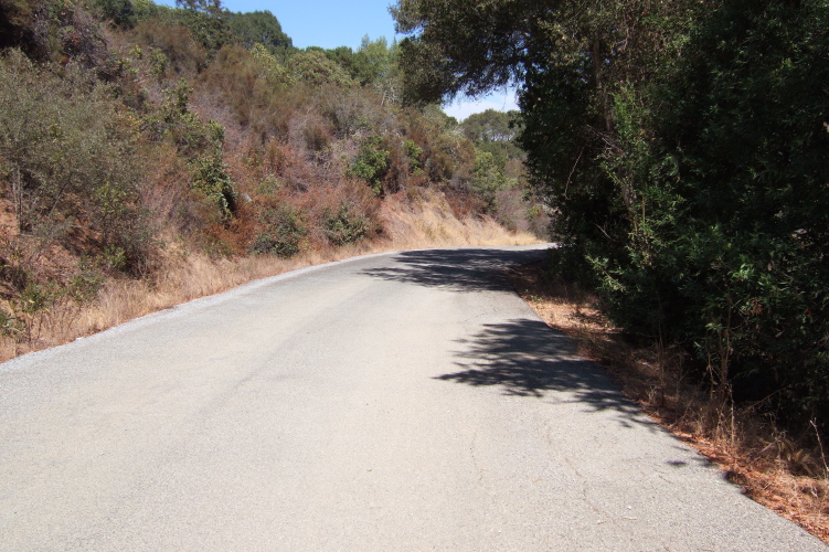 Mt. Madonna Rd. (east).  Back on asphalt.