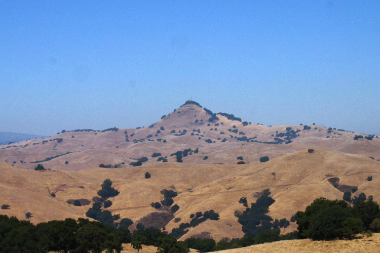 Pacheco Peak (2770ft) from Lone Tree Ridge (1890ft)