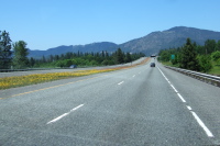 Yellow flowers in median, and rough Oregon asphalt.