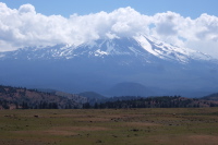 Mt. Shasta from the north.