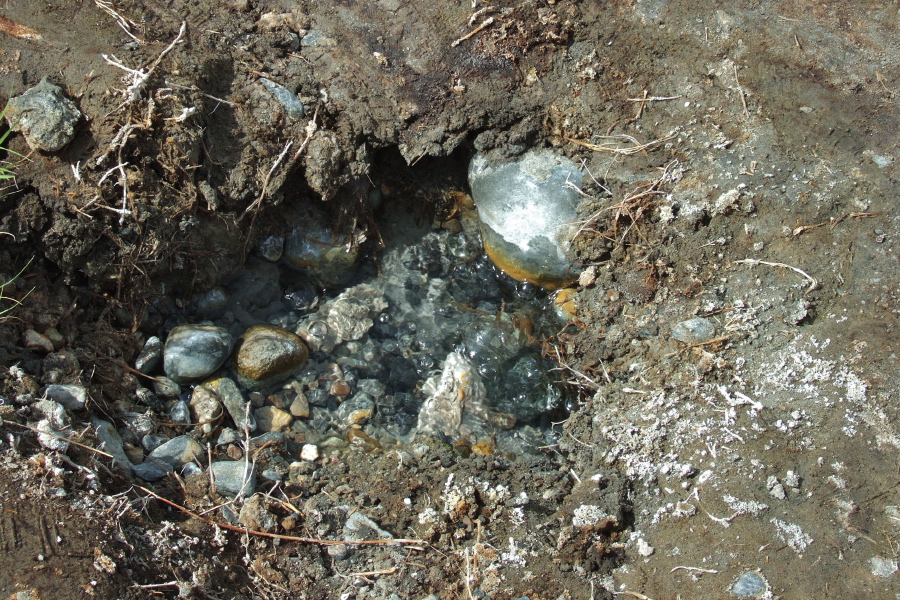 Hot water bubbling up through the ground next to Hot Creek