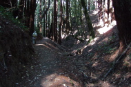 The Chinquapin Trail descends a narrow gorge.