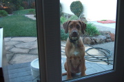 Can I come in now?