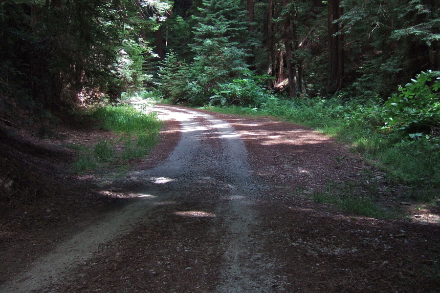 This is actually the last turnaround before the road gets really steep.