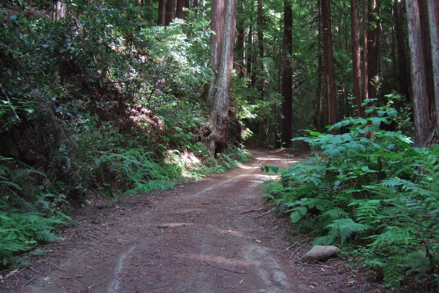 Gazos Creek Road climbs the inner canyon.