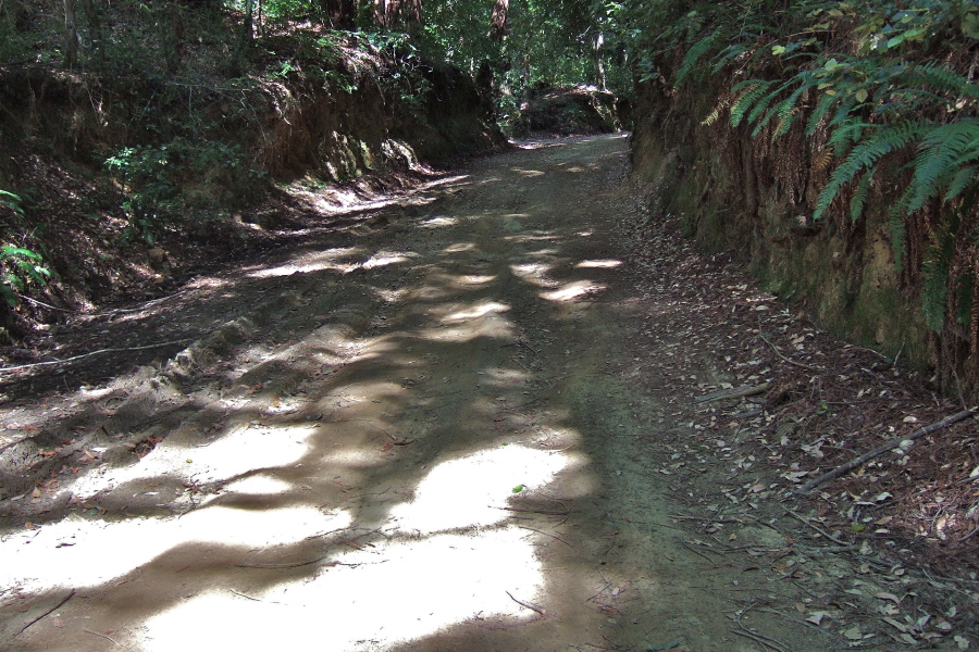 Gazos Creek Road is becoming rutted from heavy traffic.