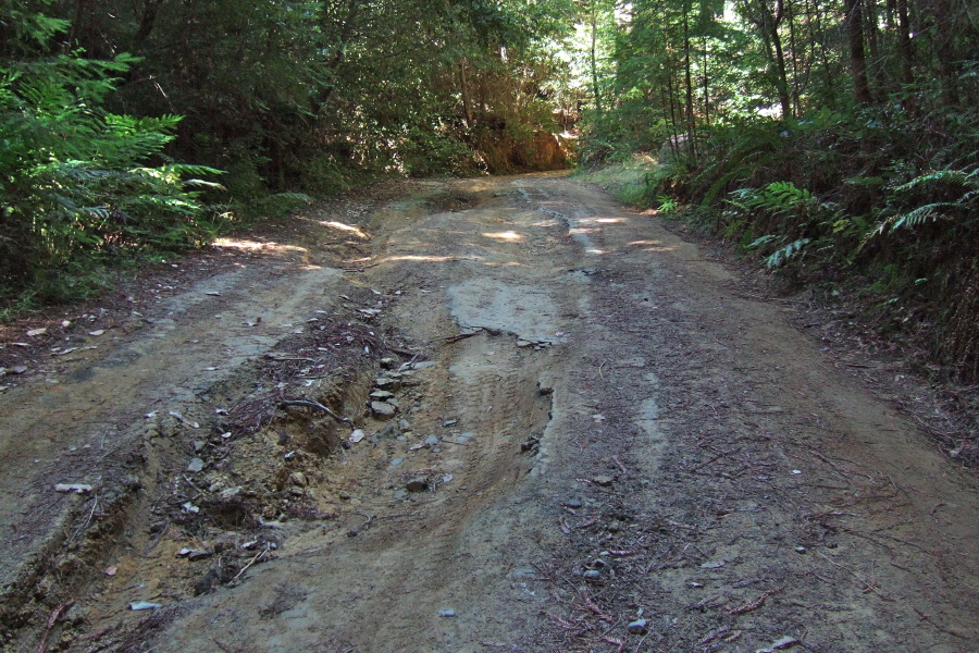 More ruts in the road bed on Gazos Creek Road