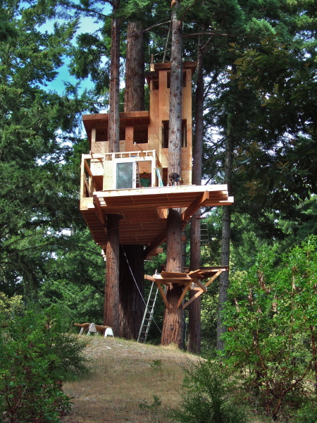 A man's castle is his treehouse.