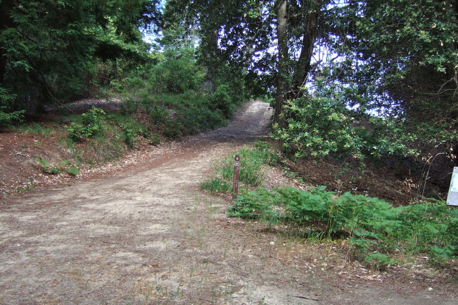 Middle Ridge Trail heads south.