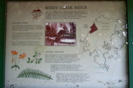 Berry Creek Ridge information