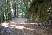 Descending Gazos Creek Rd. below Sandy Point Junction 1 (1250ft)