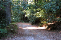 Descending Gazos Creek Rd., in the canyon 1 (1000ft)