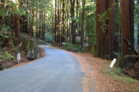 Alpine Rd. near Pescadero Rd. (450ft)