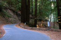 Alpine Rd. at the Heritage Grove (550ft)