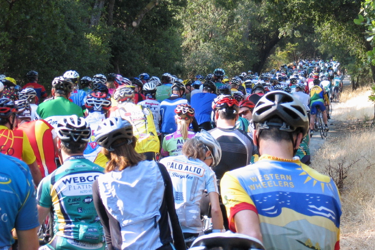 Queuing to start the rides that followed.