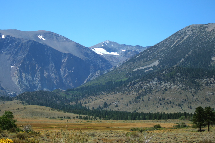 View up Parker Creek and Koip Peak.