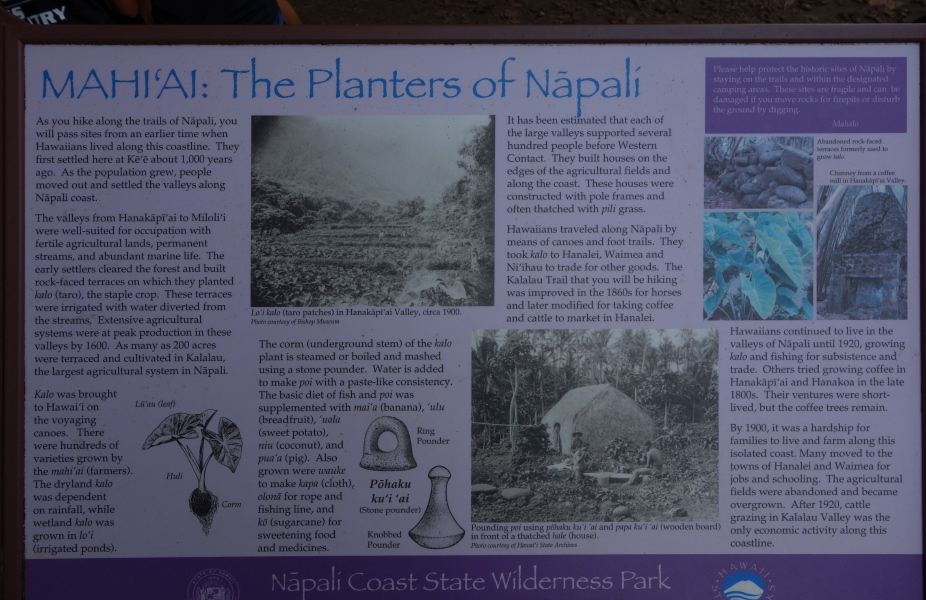Napali Coast 3rd Panel