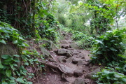 Kalalau Trail starts with lots of rocks