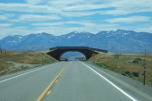 Crossing under another animal bridge on US93