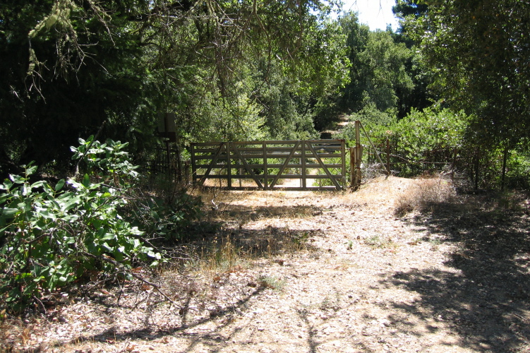 The road leading to Fat Buck Ridge. (2170ft)