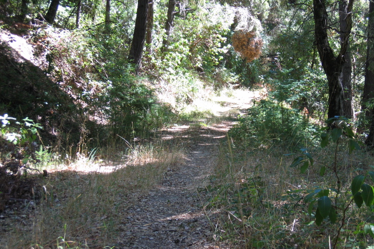 Kings Creek Truck Rd. (1520ft)