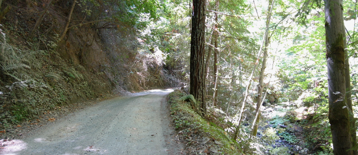 Kings Creek Rd. along Kings Creek. (1020ft)