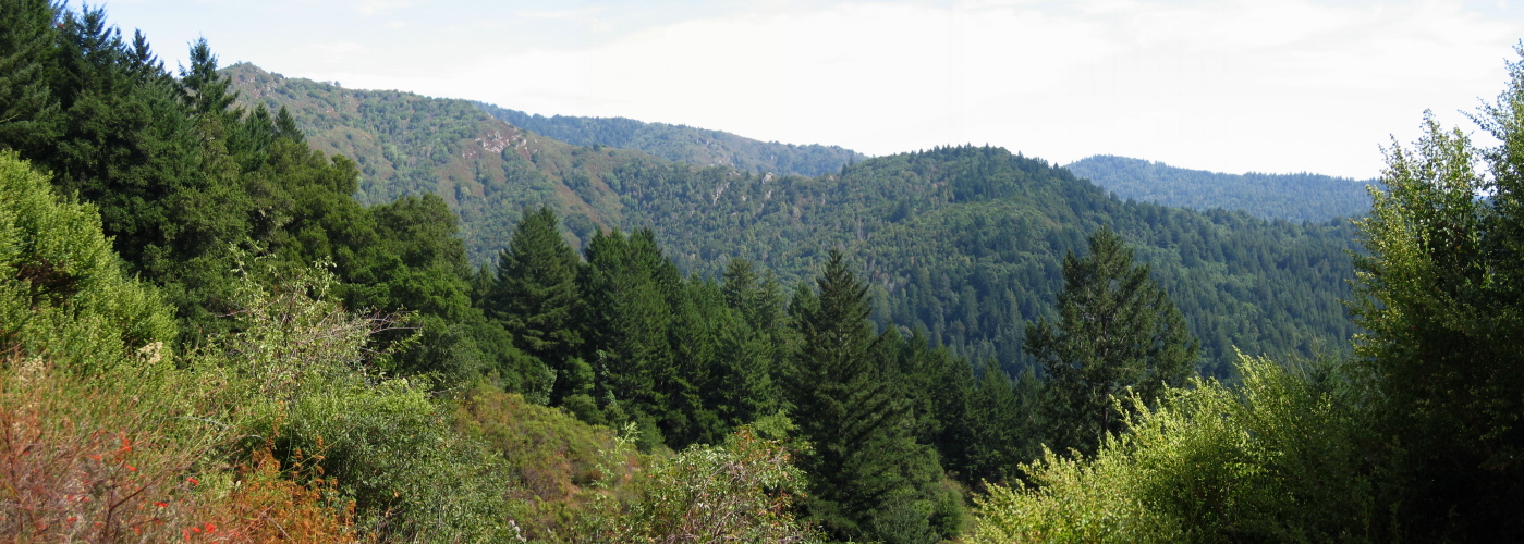 Panorama from CA9 (1840ft)