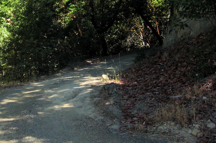 Kings Creek Truck Rd. descends steeply down to Isaacson's inholding. (2910ft)