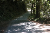 Kings Creek Rd. through the canyon. (970ft)