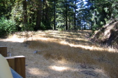 Old CA9 road alignment at Waterman Gap. (1270ft)