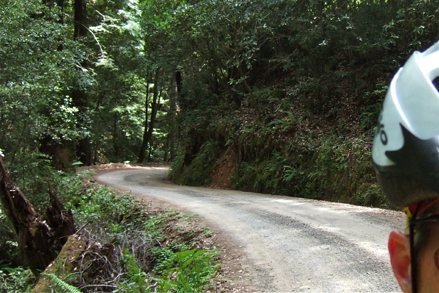Kruse Ranch Rd. as it climbs through the forest.