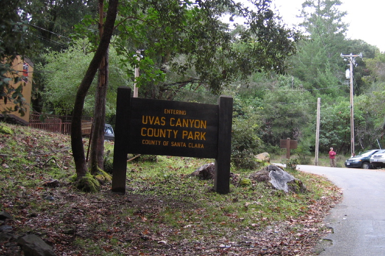 Uvas Canyon County Park.