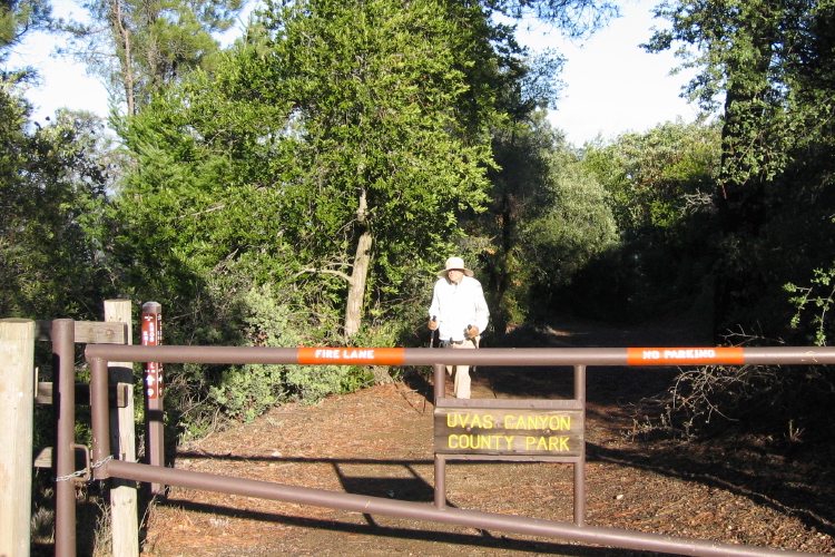 David reaches the top of the Knibbs Knob Trail.