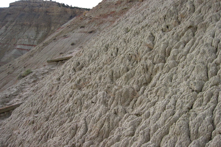 Closeup of hillside surface on Eagle View Trail.