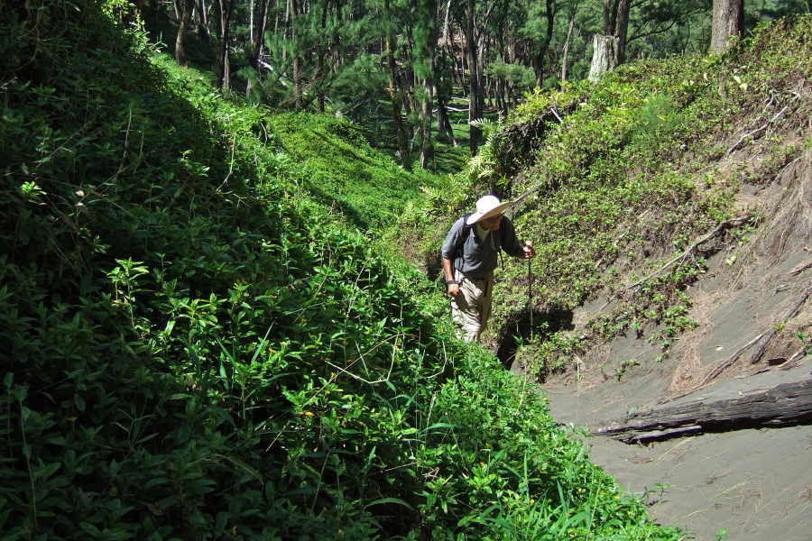 Now the trail enters a deep trench.