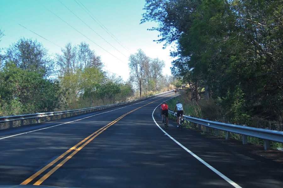 Two cyclists head north on Mamalahoha Highway.