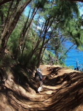 The trail heads steeply down toward the ocean.