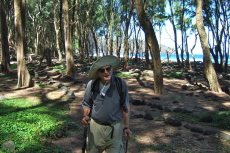 David starts the hike up the east side of Pololu Valley in a grove of ironwood trees.