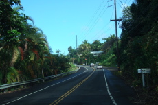 Typical scene on Old Mamalahoa Highway uphill from Kailua-Kona