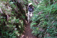 David descends the trenched trail.